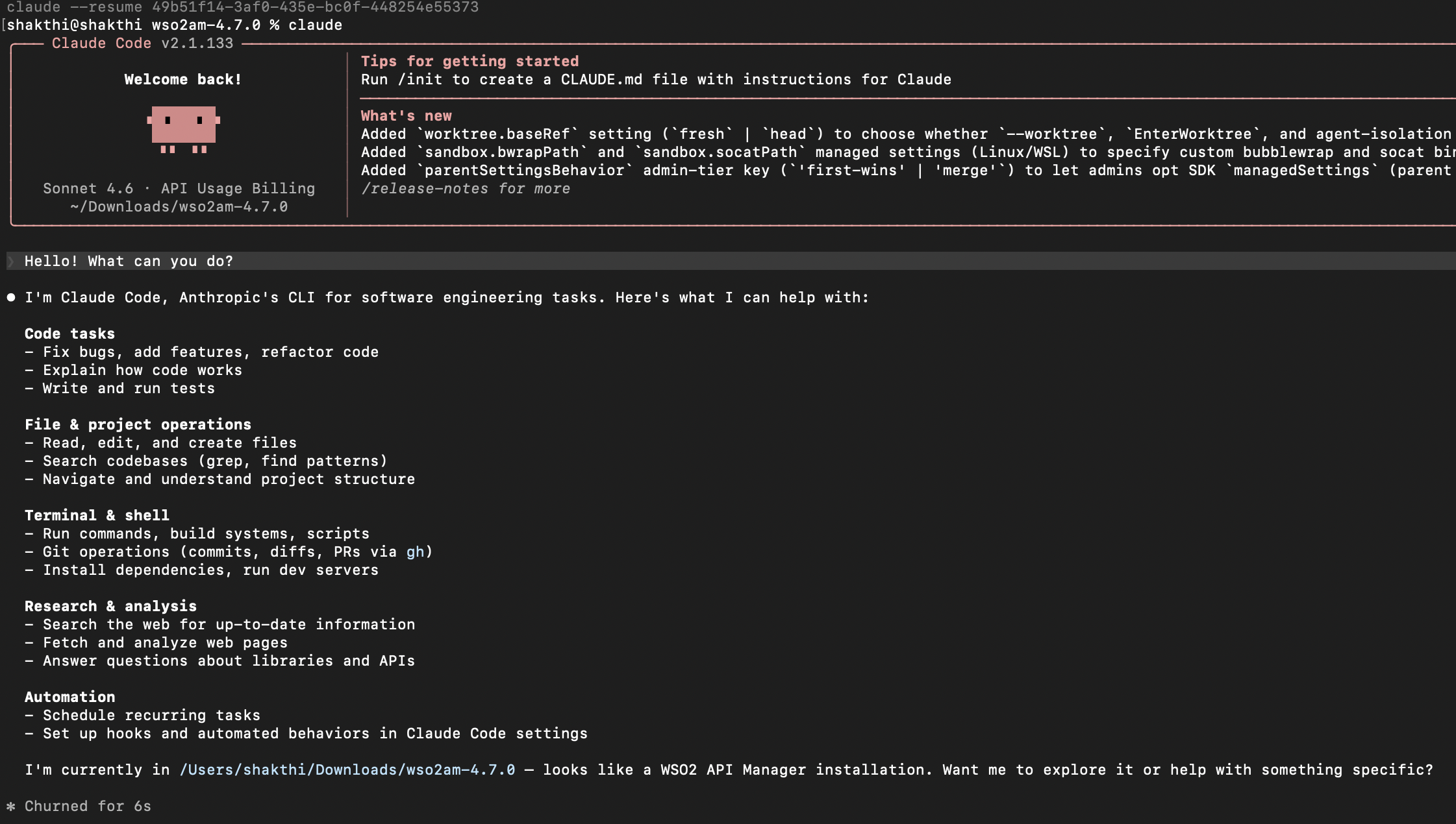 Claude Code terminal showing lengthy capability list response to "Hello! What can you do?" prompt