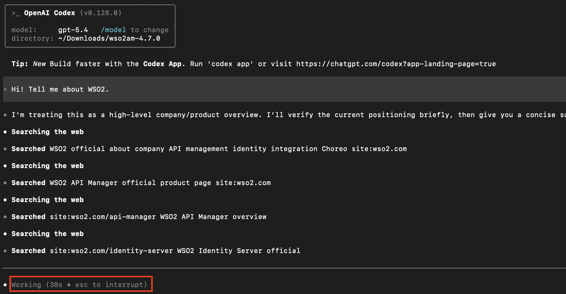 Codex CLI terminal showing a working indicator at the bottom while processing a WSO2-related query