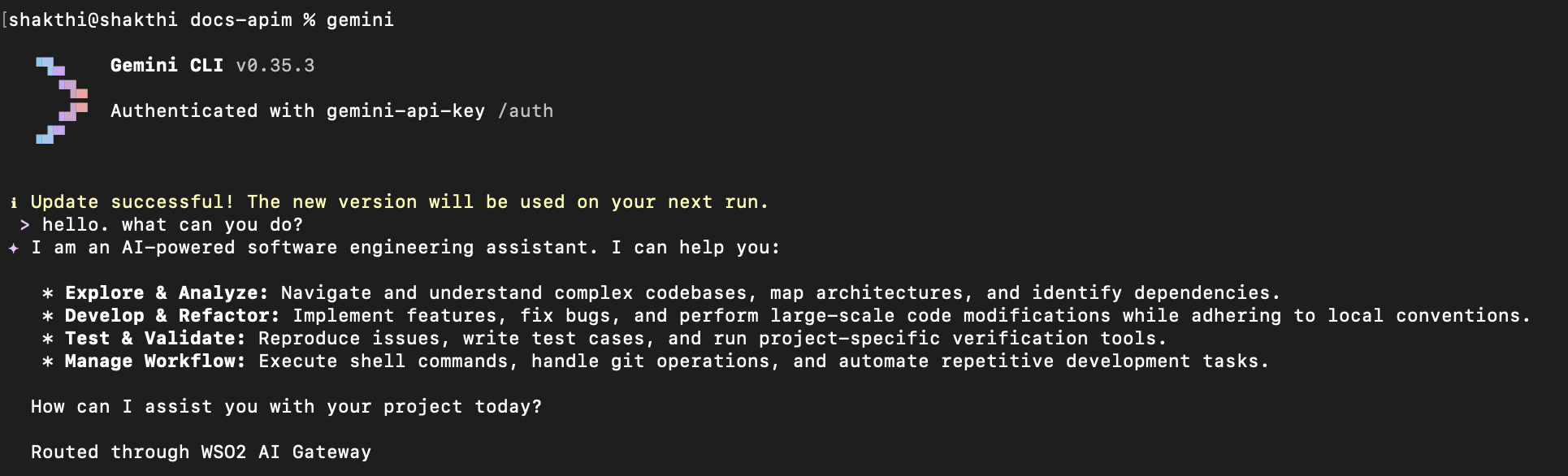 Gemini CLI terminal showing capabilities response ending with "Routed through WSO2 AI Gateway" footer from Prompt Decorator