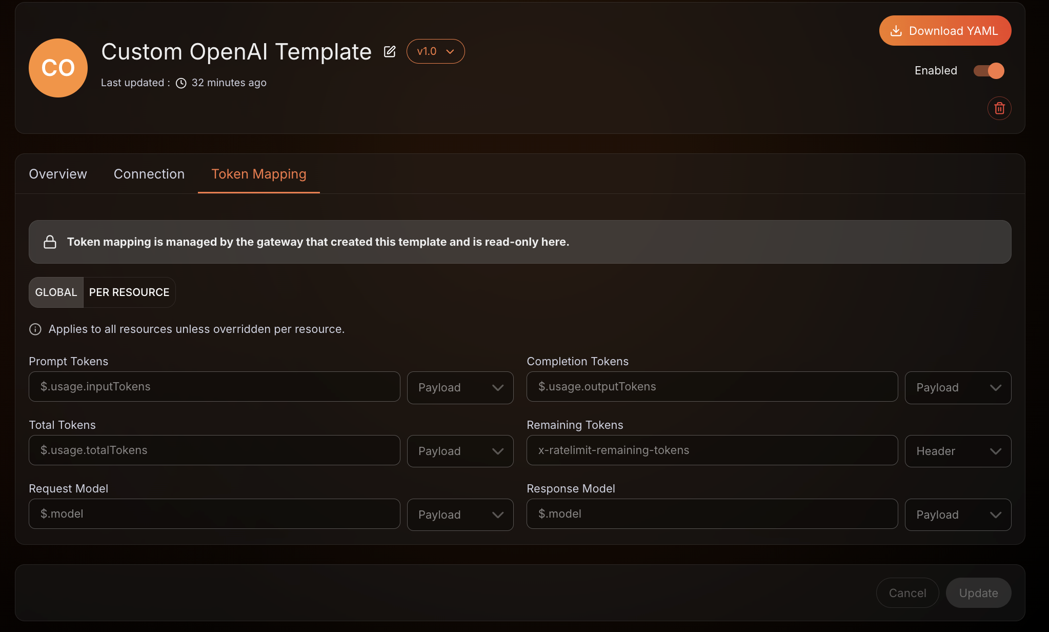 Read-only token mapping settings of a gateway-origin LLM provider template