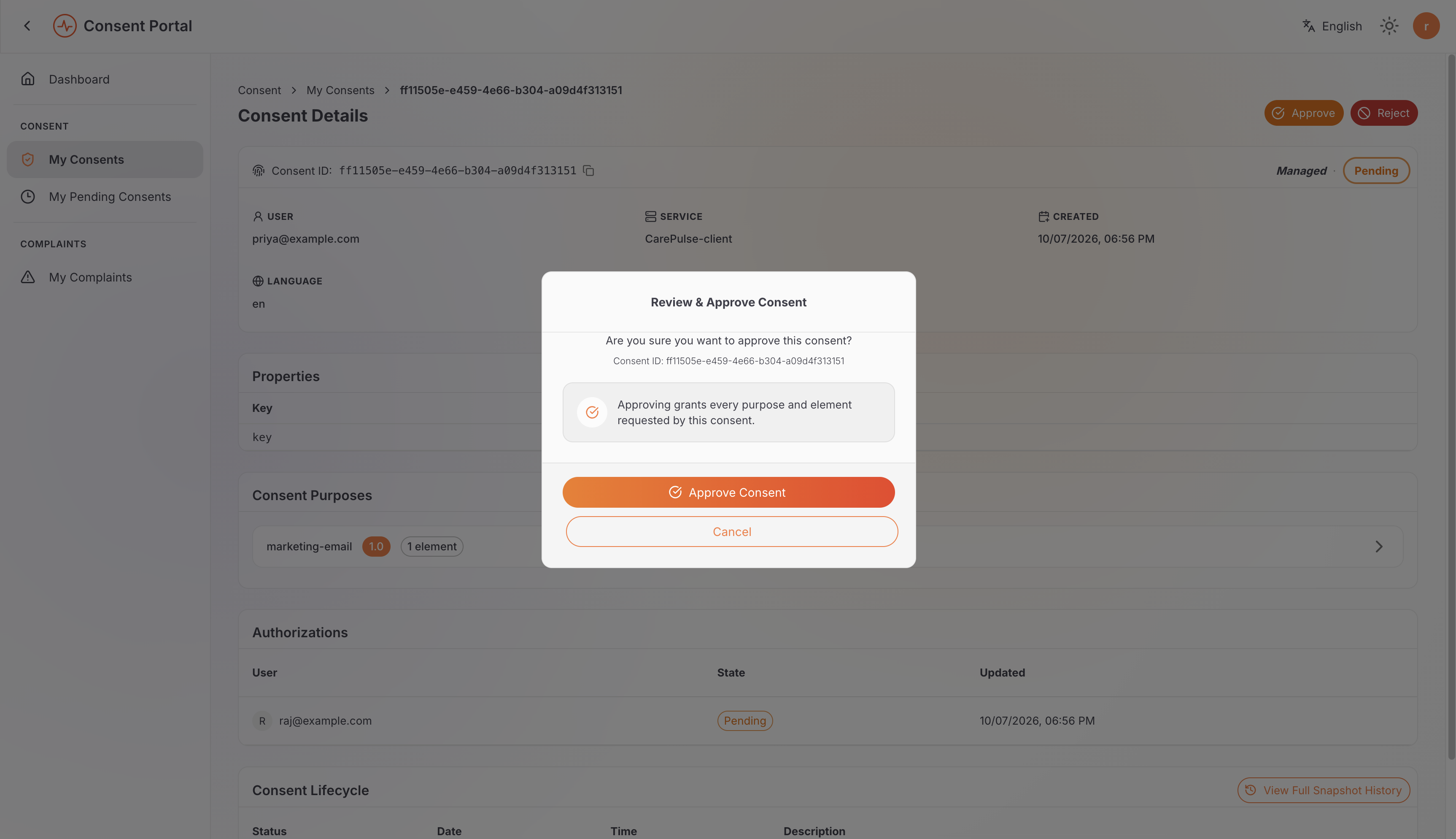 Review & Approve Consent confirmation dialog