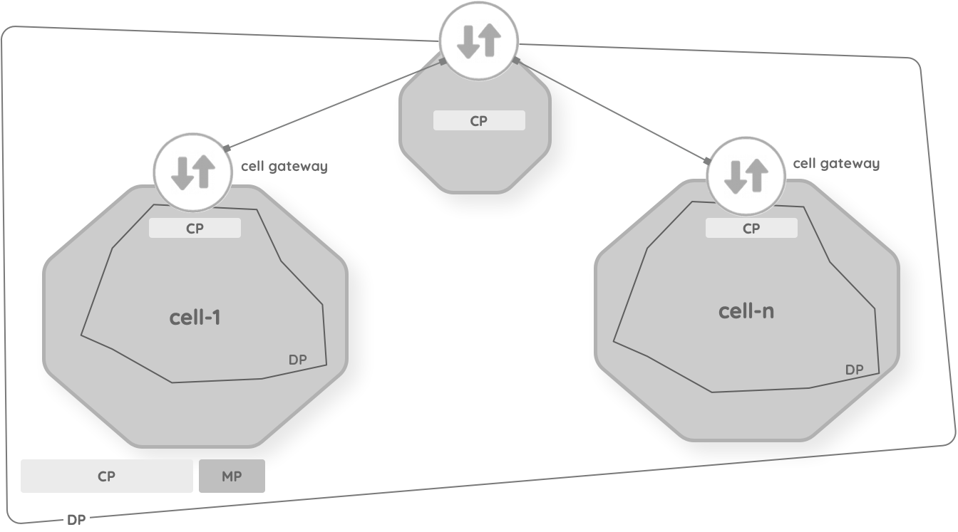 cell communication