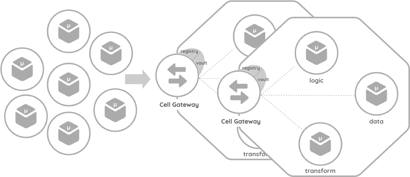 cell creation 2