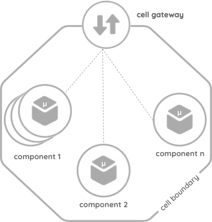 cell definition